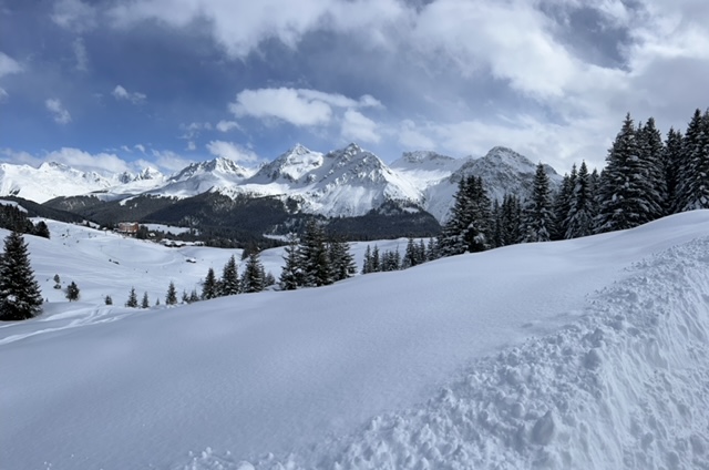 Herrliche 3.5 Zimmer-Ferienwohnung in Arosa